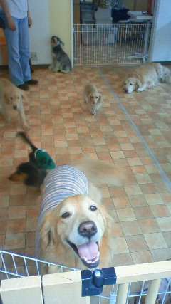 ファイル 2269-3.jpg