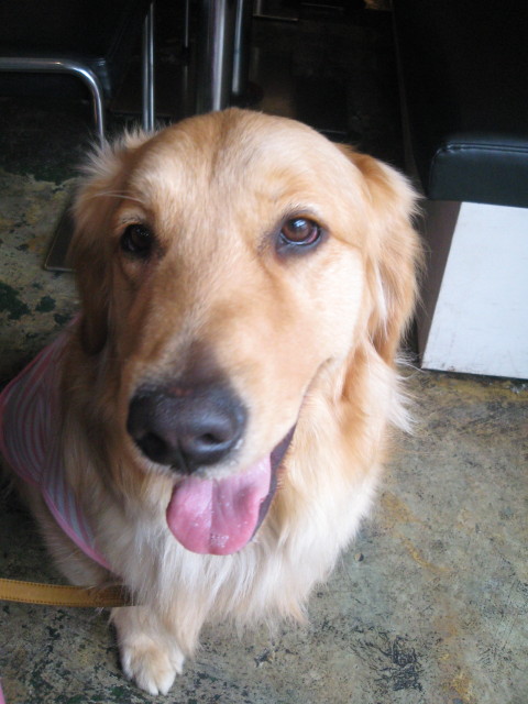 ファイル 227-1.jpg