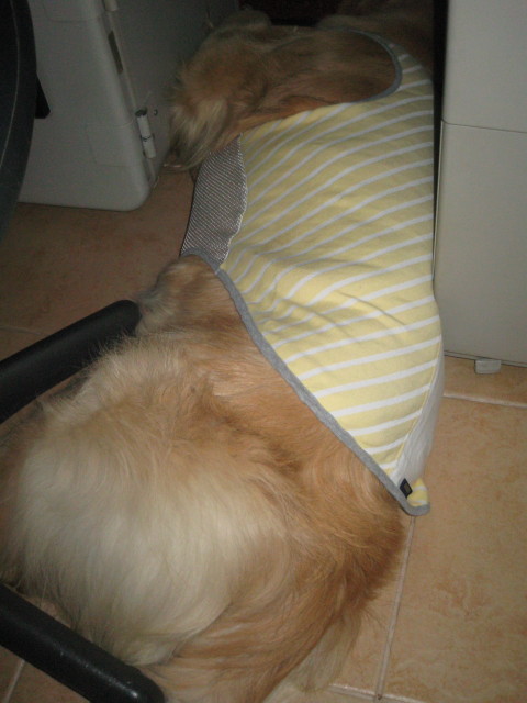 ファイル 227-4.jpg