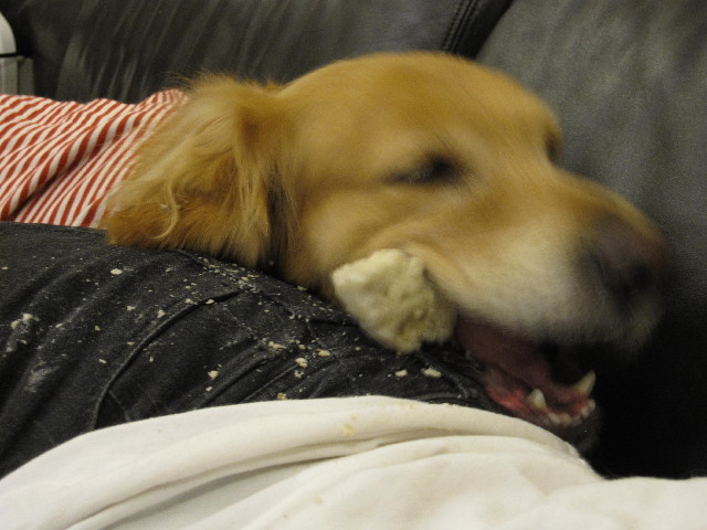 ファイル 2272-5.jpg