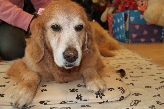 ファイル 2273-1.jpg