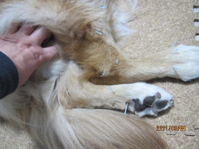 ファイル 2275-2.jpg