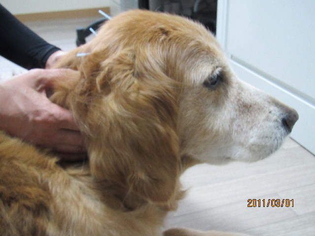 ファイル 2275-3.jpg