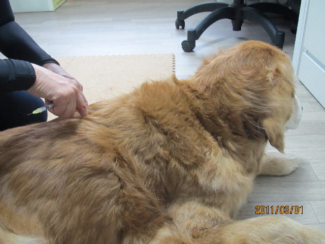 ファイル 2275-4.jpg