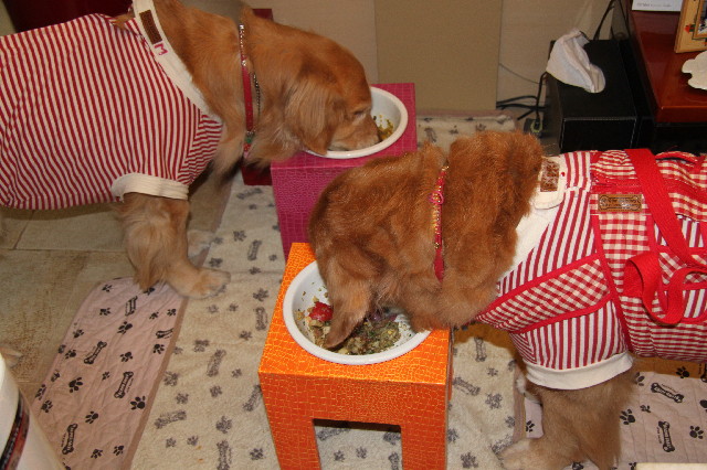 ファイル 2275-5.jpg