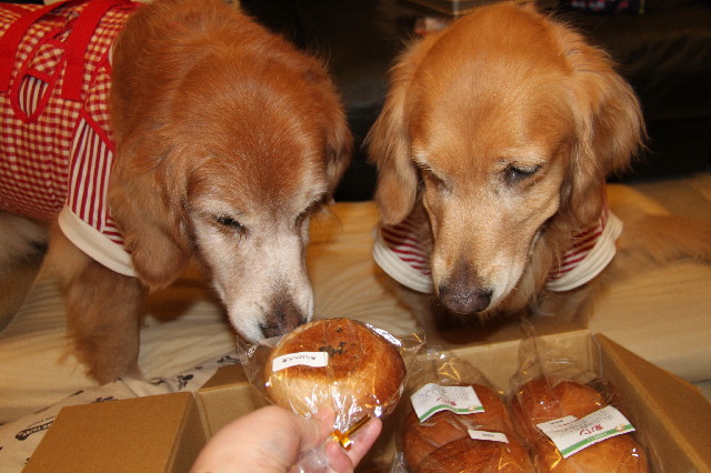 ファイル 2276-3.jpg