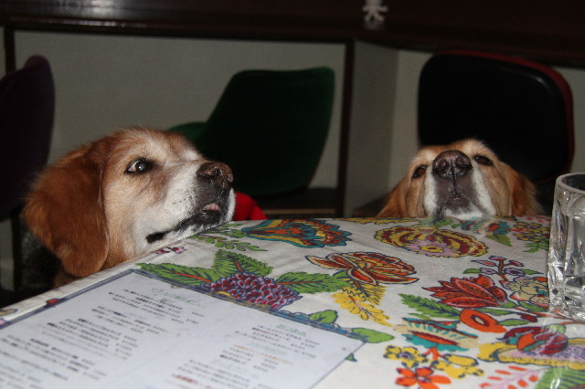 ファイル 2276-4.jpg