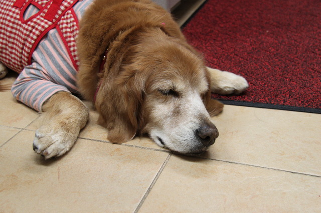 ファイル 2277-4.jpg