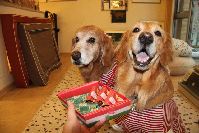 ファイル 2278-2.jpg