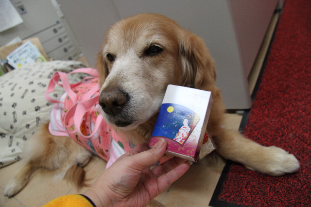 ファイル 2279-3.jpg