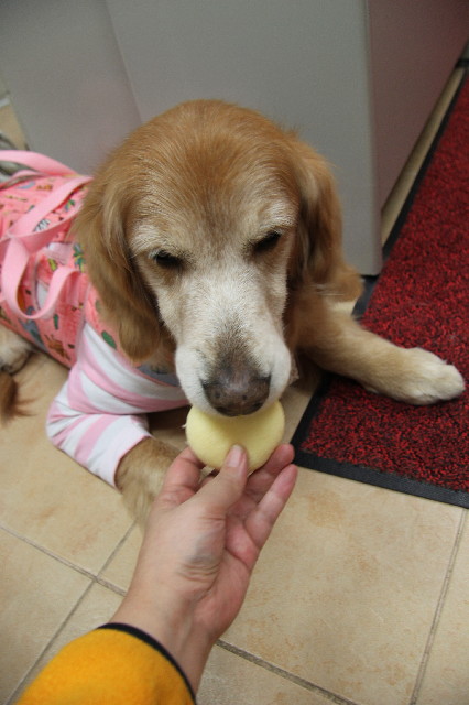 ファイル 2279-4.jpg