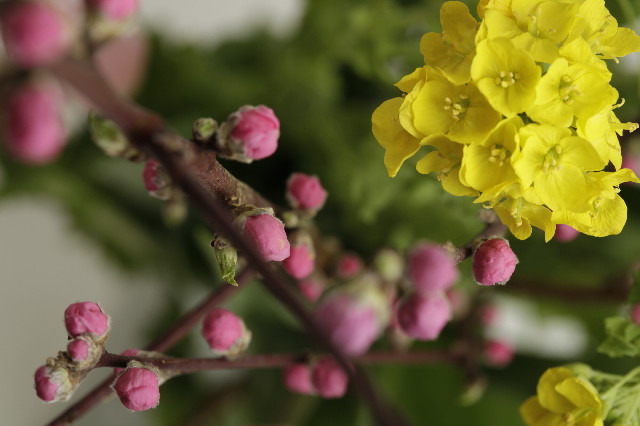 ファイル 2279-5.jpg