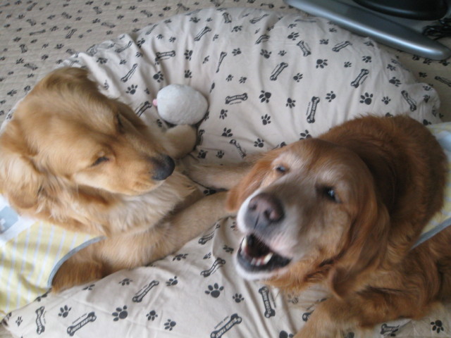 ファイル 228-5.jpg