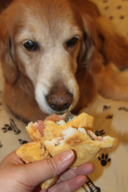 ファイル 2280-3.jpg