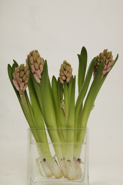 ファイル 2281-4.jpg