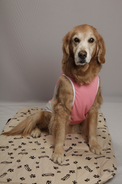 ファイル 2282-3.jpg