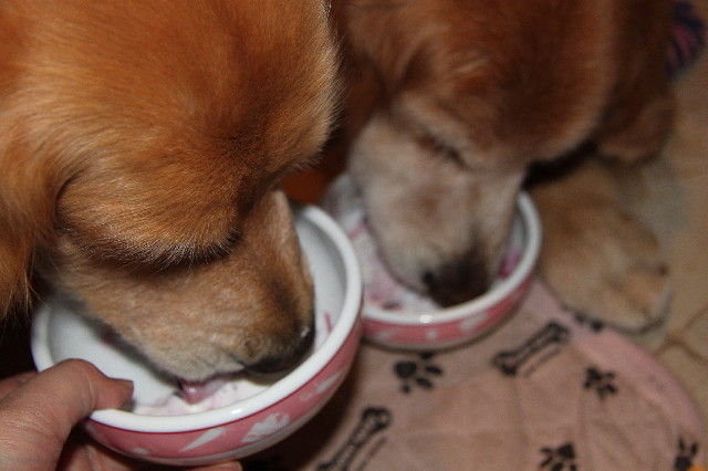 ファイル 2283-3.jpg