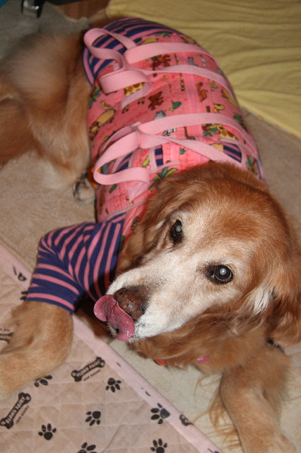 ファイル 2283-4.jpg