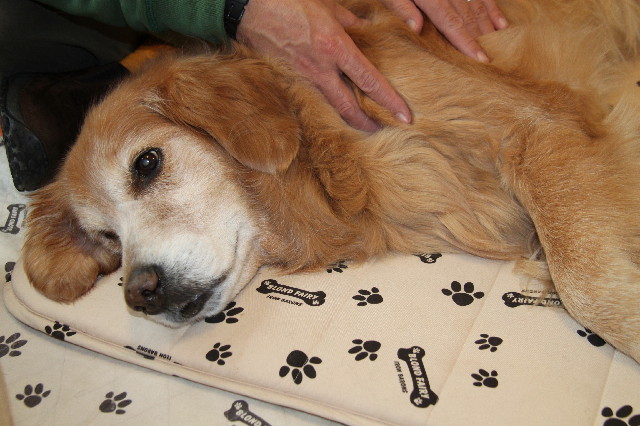 ファイル 2284-2.jpg