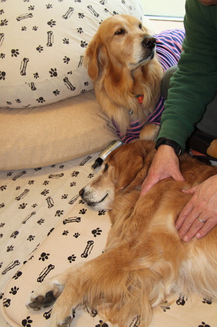 ファイル 2284-3.jpg