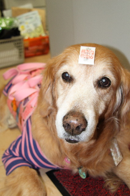 ファイル 2284-4.jpg