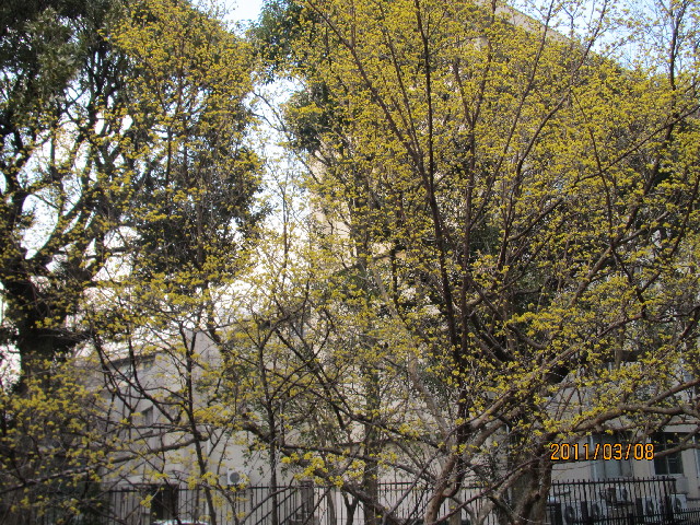 ファイル 2286-4.jpg