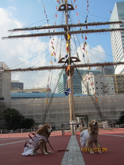 ファイル 2288-3.jpg