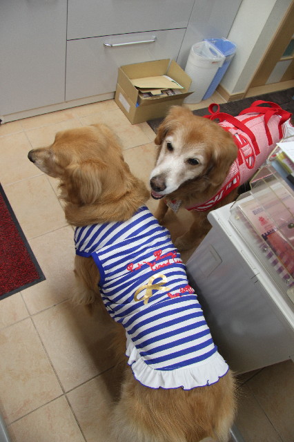 ファイル 2289-2.jpg