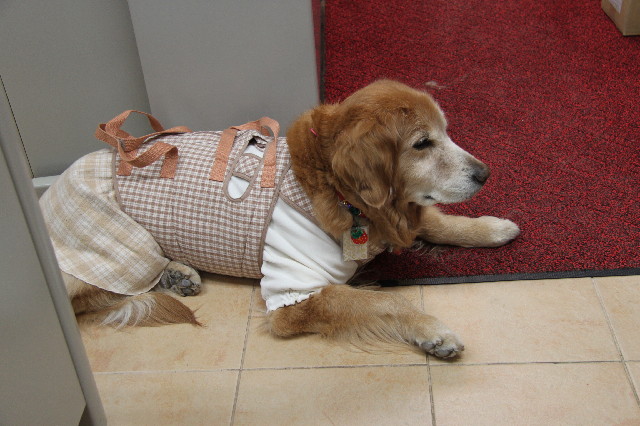 ファイル 2291-1.jpg