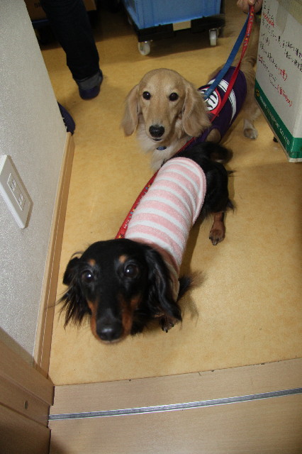 ファイル 2291-3.jpg