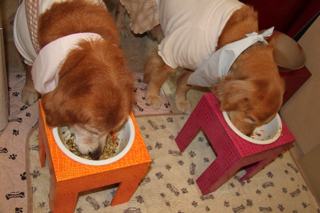 ファイル 2292-5.jpg