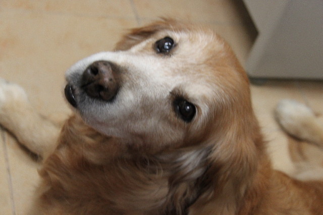 ファイル 2293-4.jpg