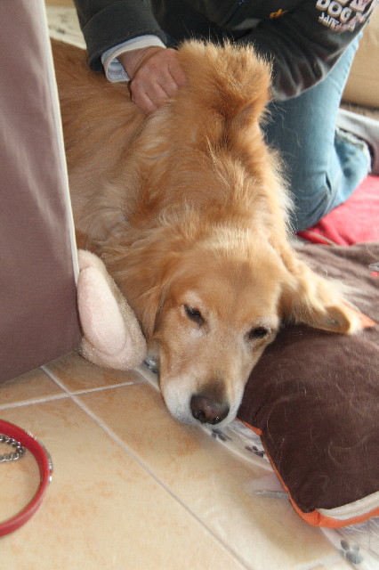 ファイル 2298-5.jpg