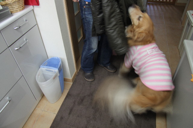 ファイル 2299-1.jpg