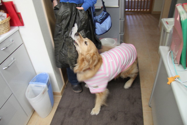 ファイル 2299-2.jpg