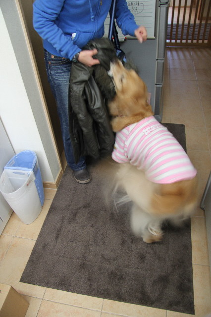 ファイル 2299-3.jpg