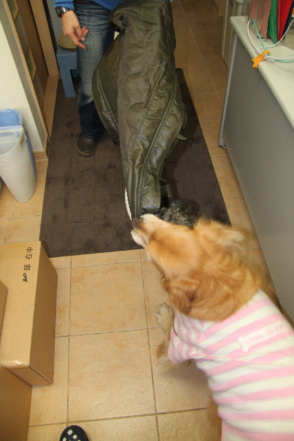 ファイル 2299-4.jpg