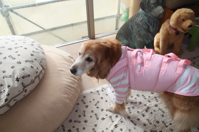 ファイル 2299-5.jpg