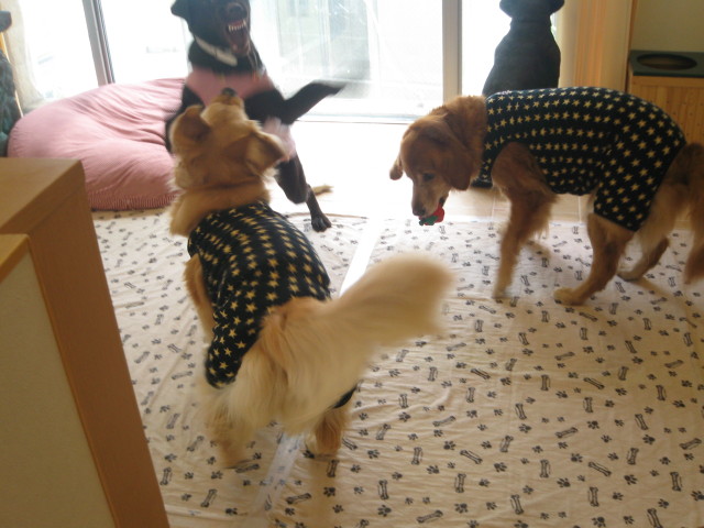 ファイル 230-4.jpg