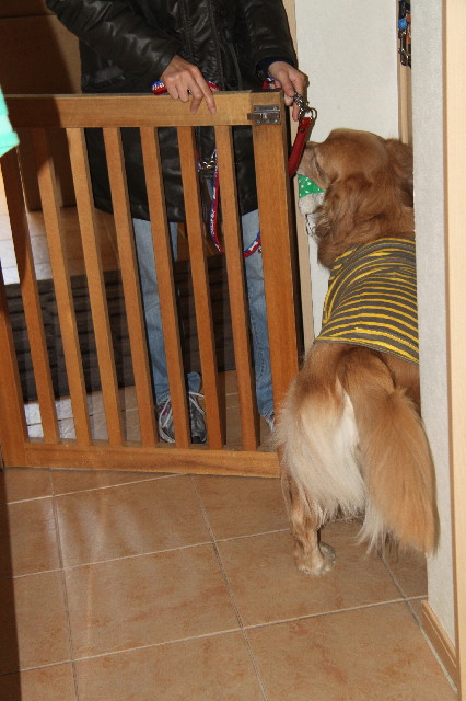 ファイル 2305-4.jpg