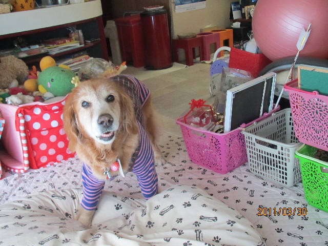 ファイル 2308-5.jpg