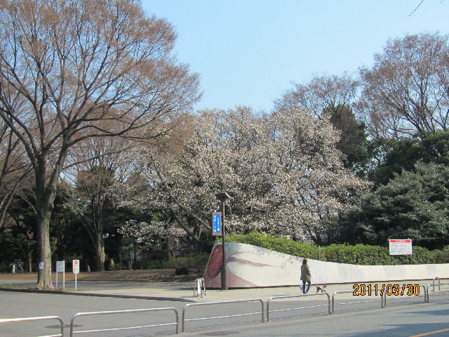 ファイル 2309-3.jpg