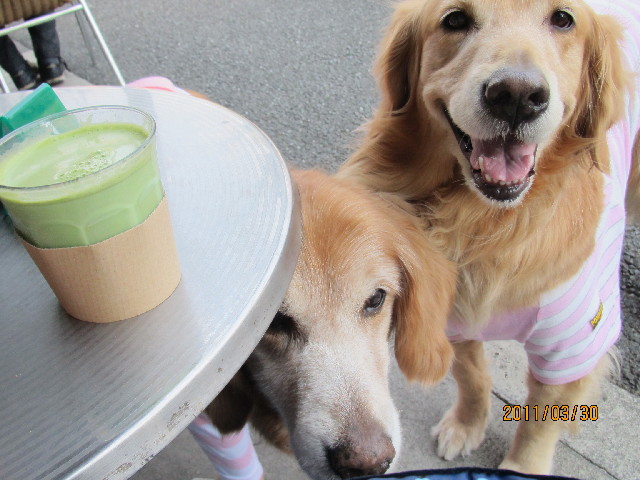 ファイル 2309-4.jpg