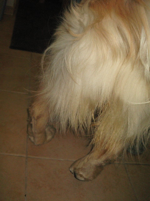 ファイル 231-1.jpg