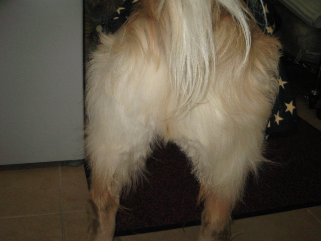 ファイル 231-2.jpg