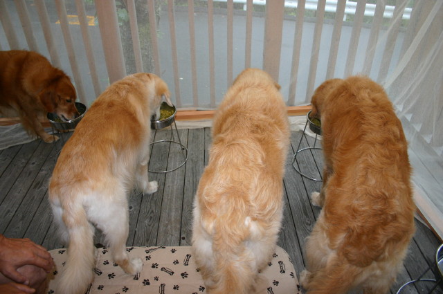 ファイル 231-3.jpg