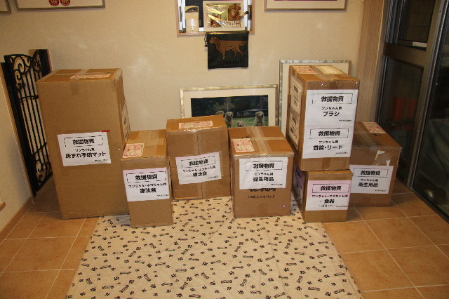 ファイル 2310-2.jpg