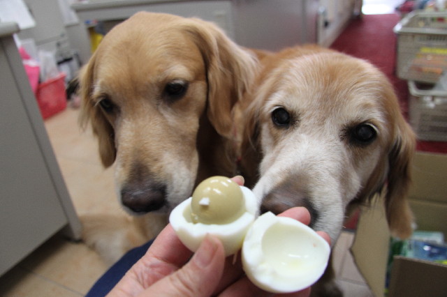 ファイル 2312-2.jpg