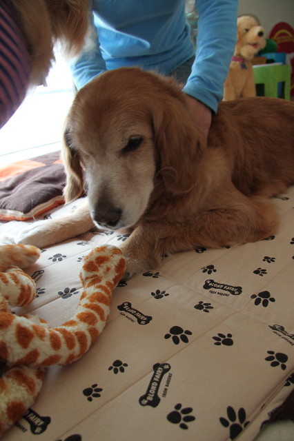 ファイル 2312-3.jpg