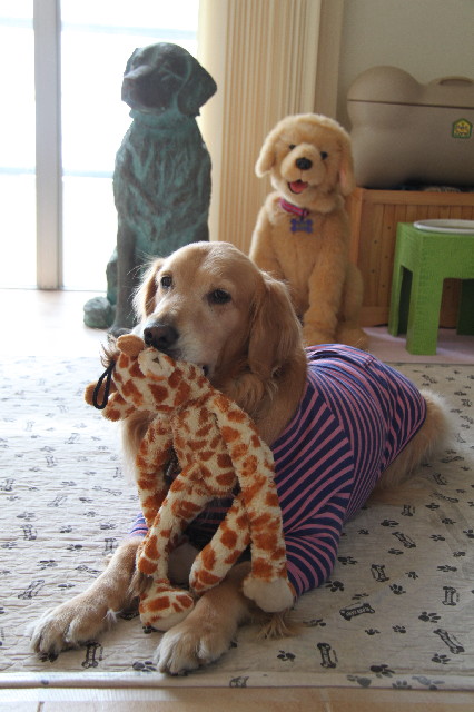 ファイル 2312-4.jpg